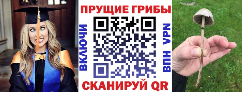 Псилоцибиновые грибы GOLDEN TEACHER Пикалёво
