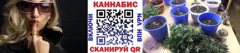 МАРИХУАНА MAZAR  купить наркотики цена  кракен рабочий сайт  Пикалёво 